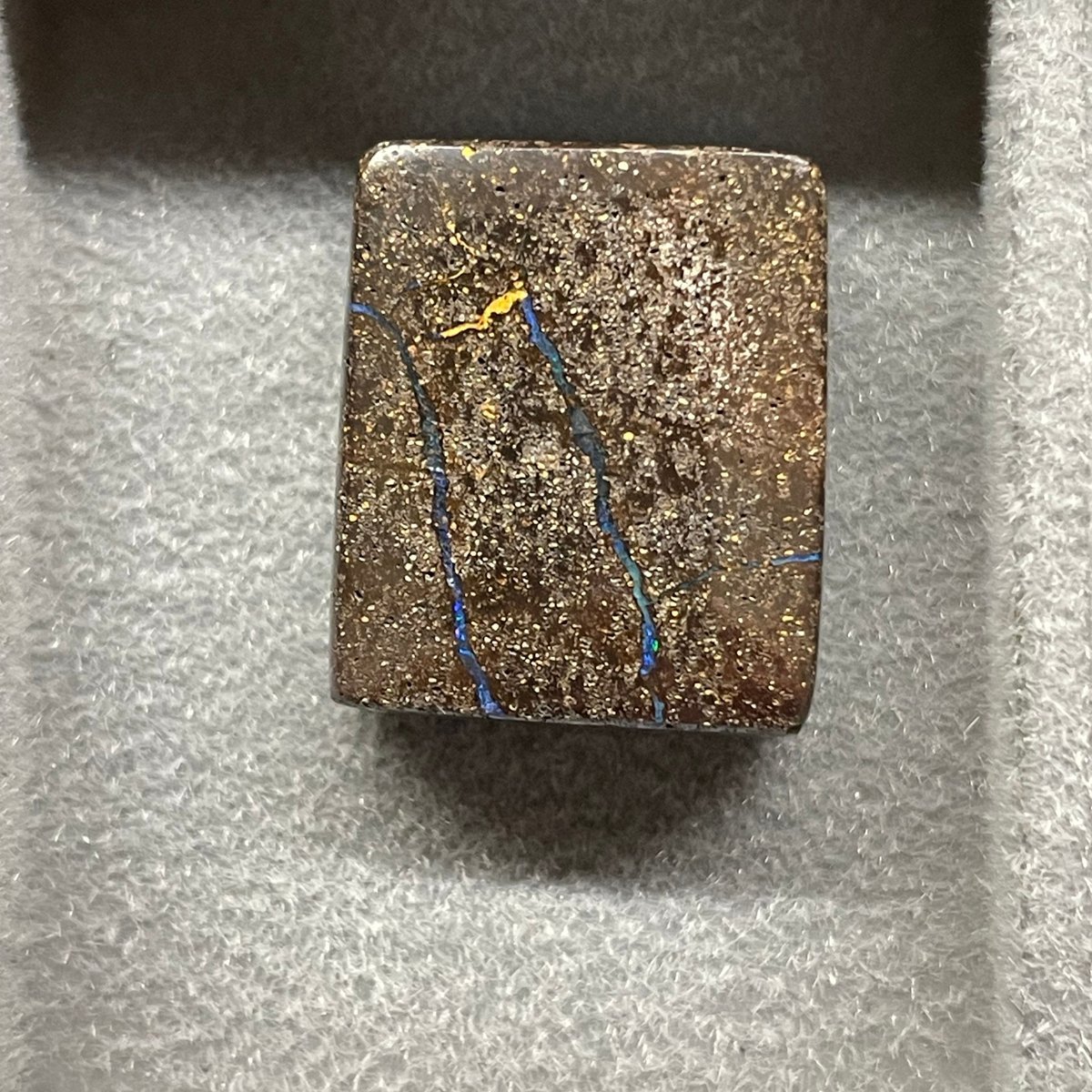 Chocolate (Choco) Opal